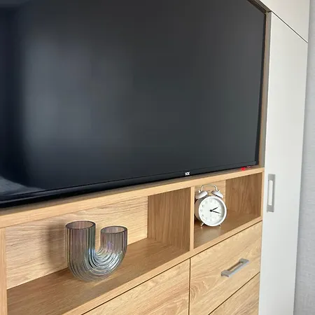 Apartment Vracar-lux *